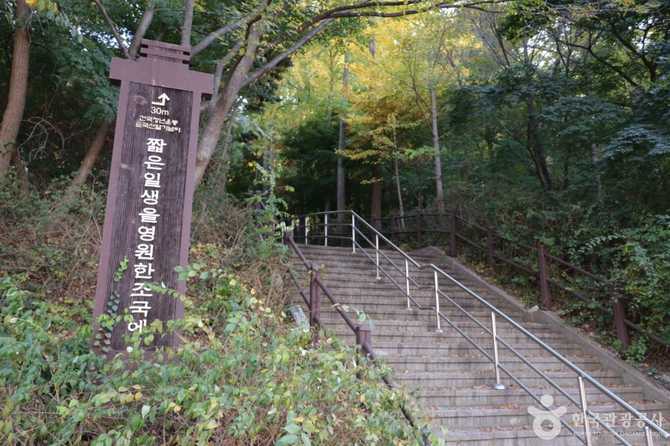 반공 청년운동 순국 열사 기념비: 의미와 위치 안내