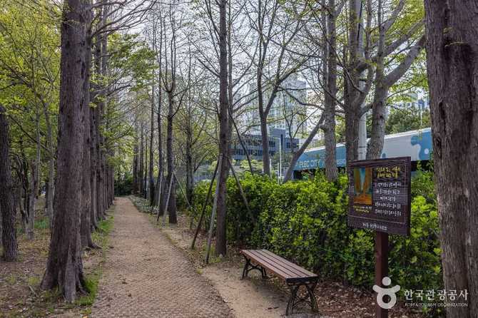 부산 해운대 산책로, 고흐의 길에서 자연과 예술을 만나다