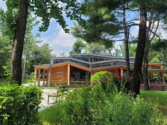Discover Odong Forest Library - image 4