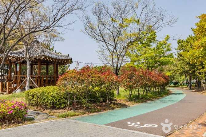 부산 강서구 신호공원: 자연과 체험이 어우러진 휴식 공간