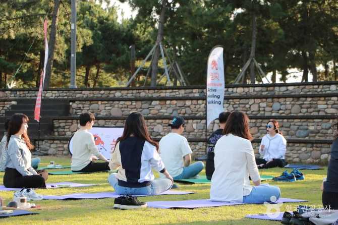 부산 사하구 놀핏: 자연과 웰니스 체험이 어우러진 관광 명소