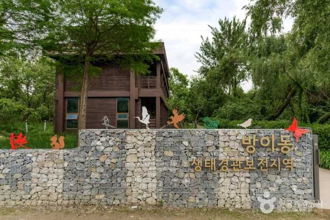 방이동 생태경관 보전지역: 도심 속 자연생태계의 소중한 보물