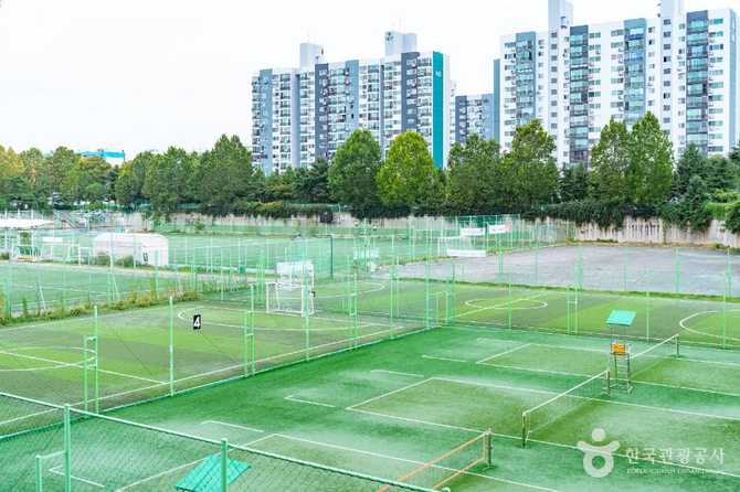 Experience Outdoor Sports at Yangcheon - image 1