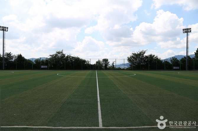 Discover Busan's Hwangryeongsan Leisure - image 2