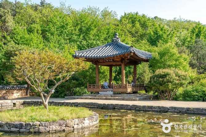 대구수목원 자연생태공원 정보와 방문 가이드
