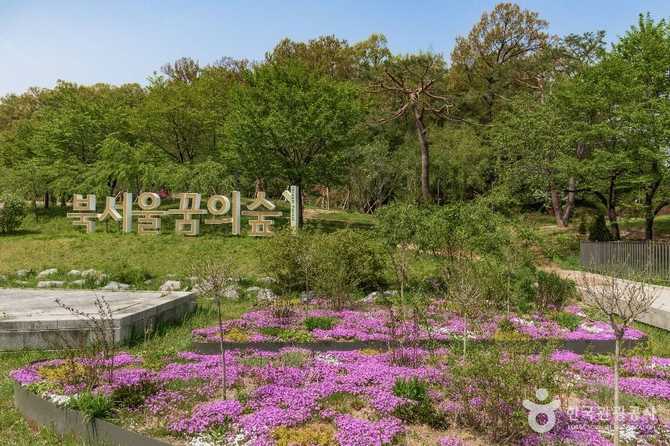 서울 강북 대표 공원, 북서울꿈의숲 방문 가이드와 핵심 정보 1