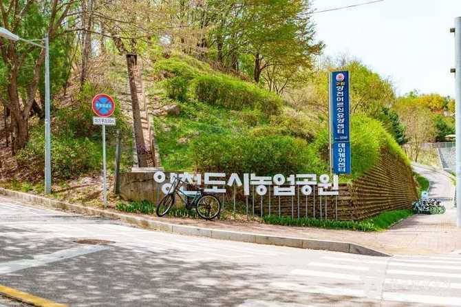 서울 양천구 자연 친화 공간, 양천도시농업공원 소개와 체험 프로그램 안내