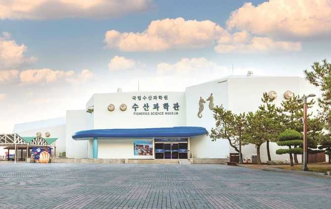 국내 대표 수산과학관, 부산 기장군 국립수산과학관 방문 가이드