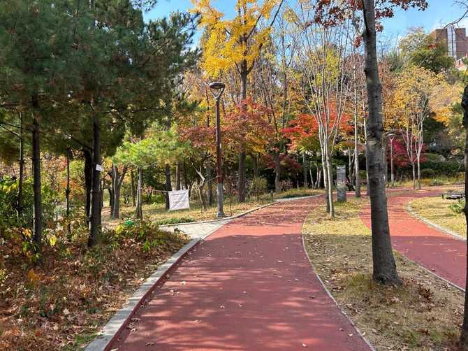 Discover Seoul's Sonki Jeong Sports - image 2