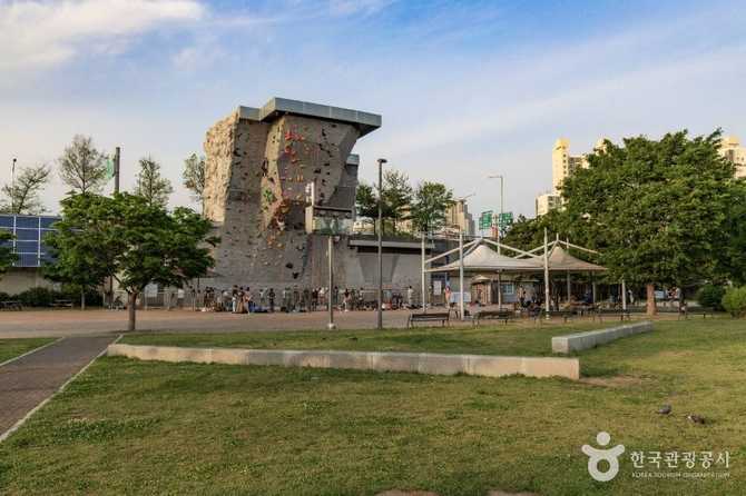 Discover Ttukseom Hangang Park Wall - image 2