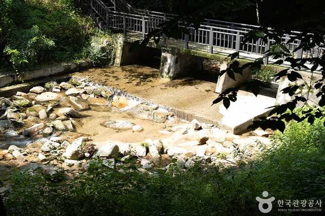 서울 근교 벽운계곡 가는 법과 즐길 거리 안내