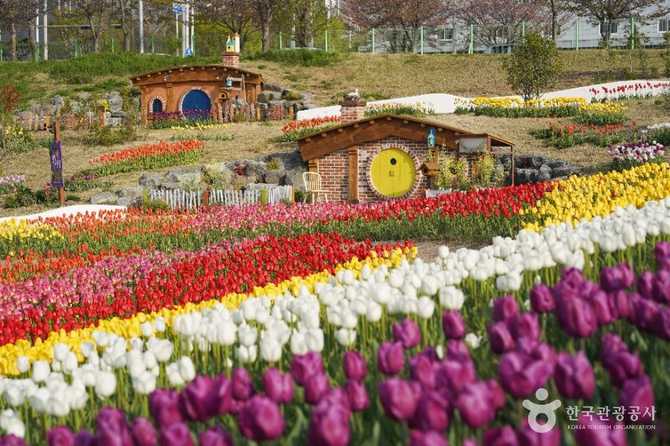 대구 달성군 세천늪테마정원 방문 가이드와 추천 명소 1