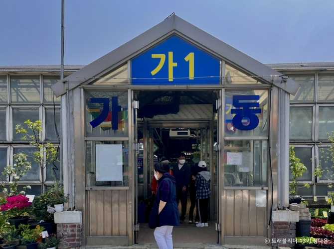 Yangjae Flower Market Guide - image 2