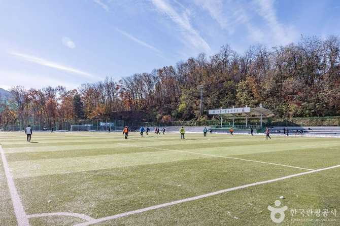 관악구민운동장 안내 및 이용 정보