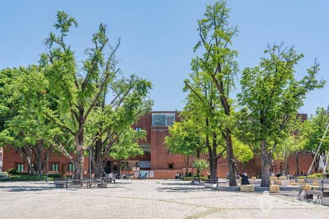 서울 종로구 마로니에공원 가이드: 문화와 자연이 어우러진 휴식 공간