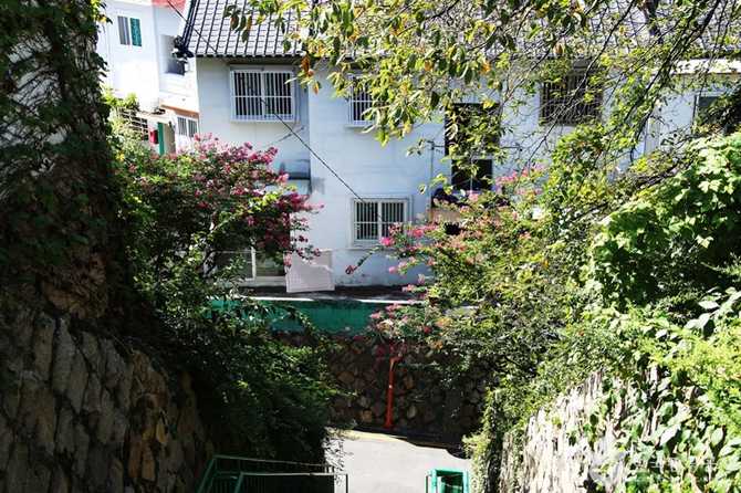부산 개금벚꽃길 명소와 방문 정보 안내