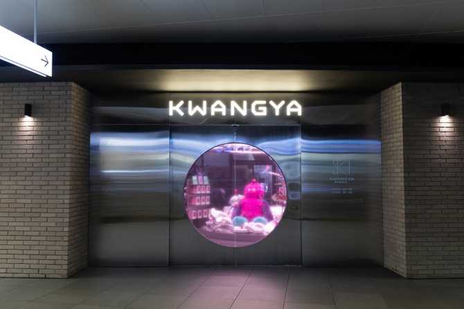 Discover K - image 3