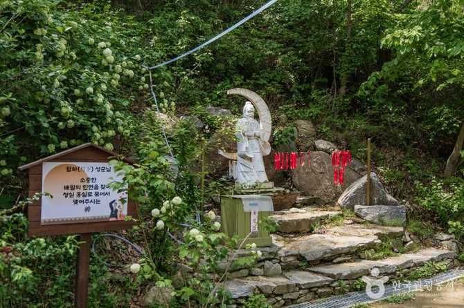 서울 대성사: 역사와 문화유산, 방문 정보 안내