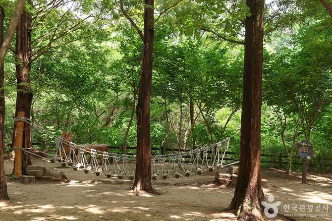 Experience Nature at Seoul's World - image 3