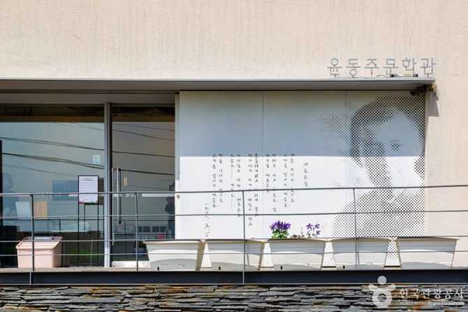 Visit the Yoon Dong - image 4