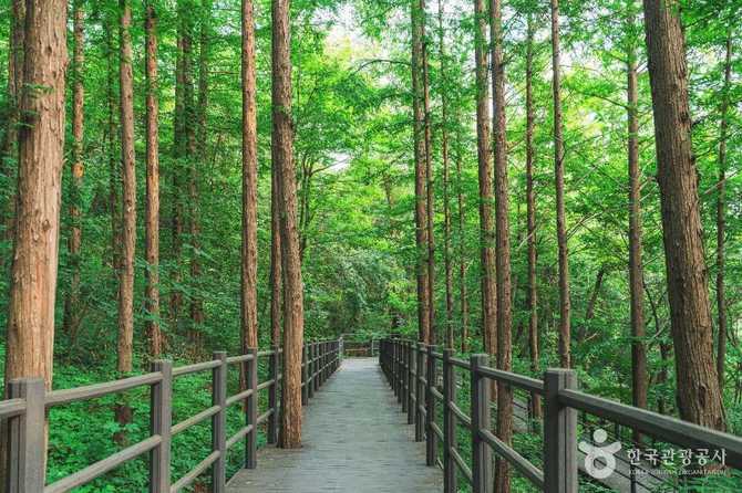 서대문 안산 걷기 코스와 전망 | 서대문 안산(안산자락길) 걷기 코스와 전망 포인트 안내