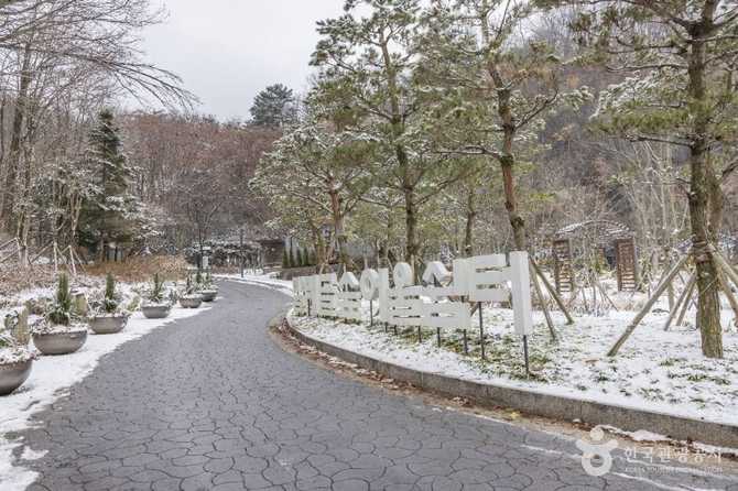 서울 강북구 수유동의 역사와 자연이 어우러진 빨래골 명소 안내