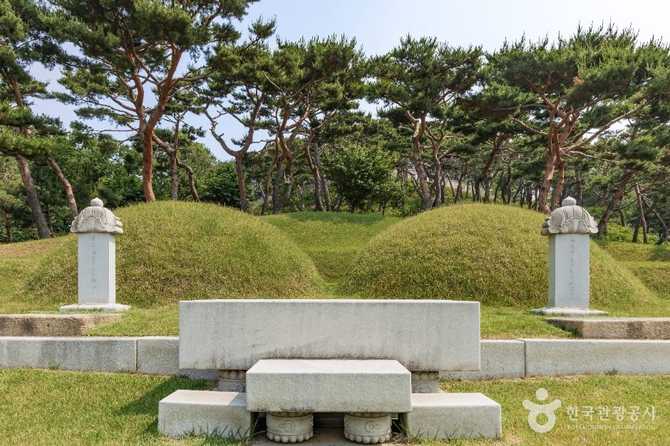 효령대군 이보 묘역: 조선 왕실의 유산과 역사적 가치