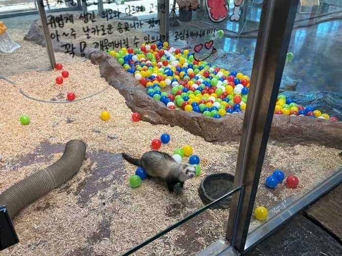울산 울주군 와글와글 동물원 안내 및 체험 프로그램 정보 2