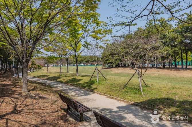 Discover Signo Park - image 1