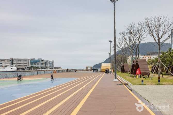 Discover Amir Park - image 2
