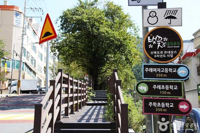 Discover Busan Gaegeum Cherry Blossom - image 5