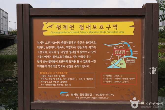 청계8경 버들습지: 자연과 생태를 만나는 서울의 숨은 명소 2