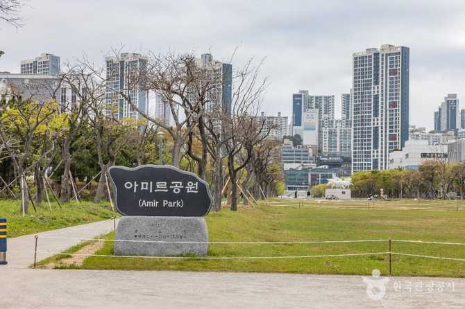 Discover Amir Park - image 1