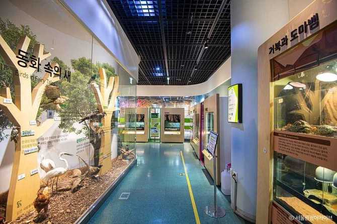 National Children's Science Museum - image 2