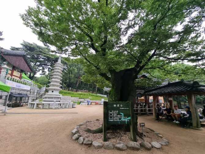 서울둘레길 12코스 호암산길 가이드: 자연과 역사를 함께 걷는 길 3