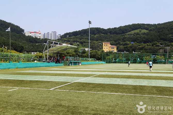 Discover Busan's Baegunpo Sports Park - image 1