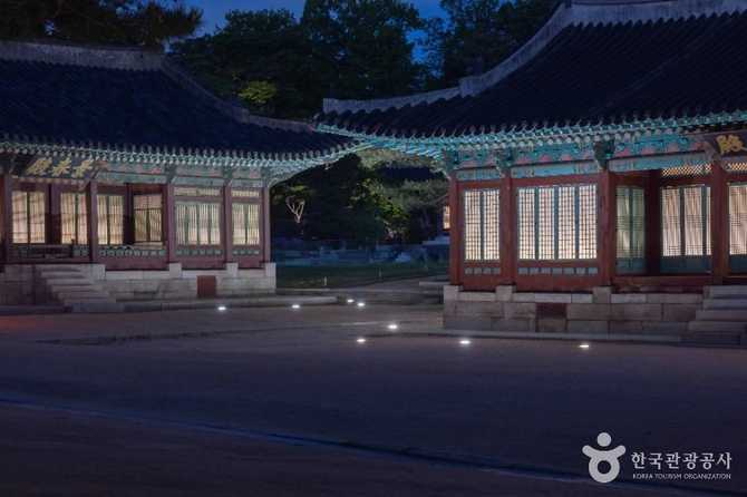 창경궁 역사와 복원 현황, 방문 정보까지 한눈에 보기 3
