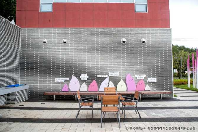 영도 조내기 고구마 역사기념관: 한국 최초 고구마 재배지의 역사와 문화 4