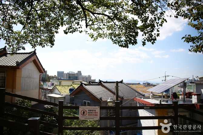 Discover Busan Gaegeum Cherry Blossom - image 2