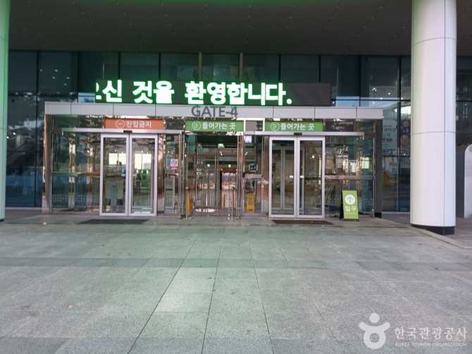 대구 과학문화 체험의 중심, 국립대구과학관 방문 가이드 5