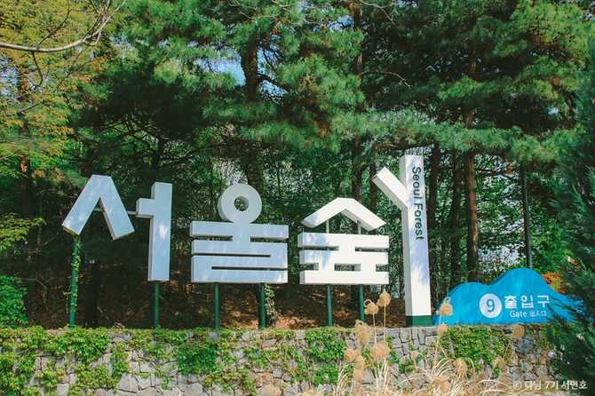 Explore Seoul Forest - image 1