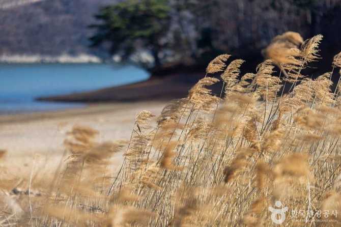 Hae Dong Suwon Reservoir - image 5