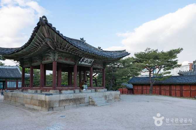 창경궁 역사와 복원 현황, 방문 정보까지 한눈에 보기 5