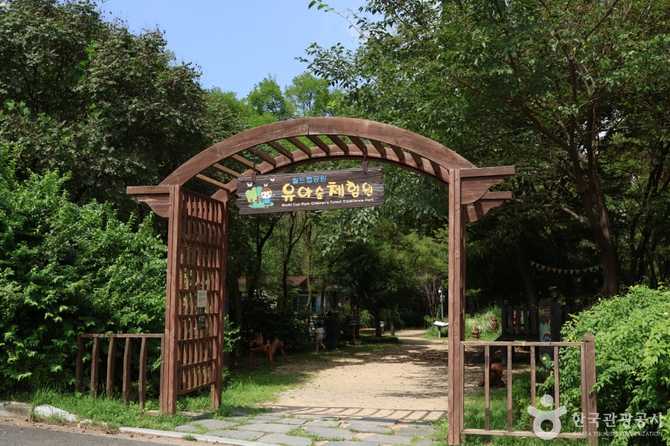 Experience Nature at Seoul's World - image 4