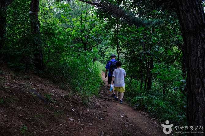 서울 송파구 천마근린공원 안내 및 체험 정보 6