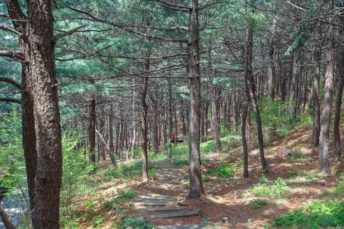 서울둘레길 12코스 호암산길 가이드: 자연과 역사를 함께 걷는 길 6