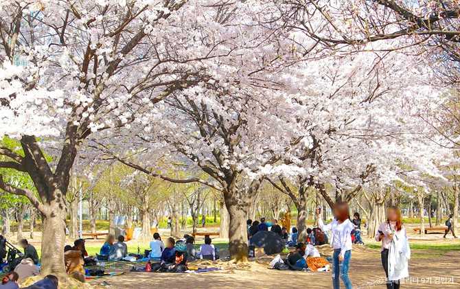 서울숲: 도심 속 자연과 문화가 어우러진 대표 도시공원 안내 6