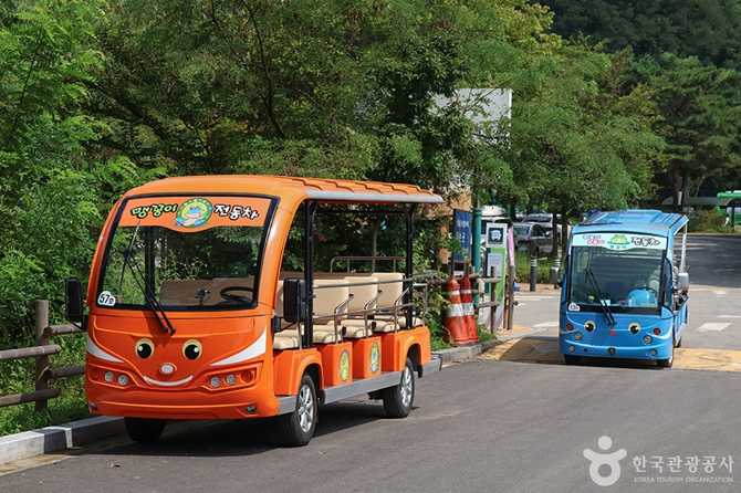Experience Nature at Seoul's World - image 9