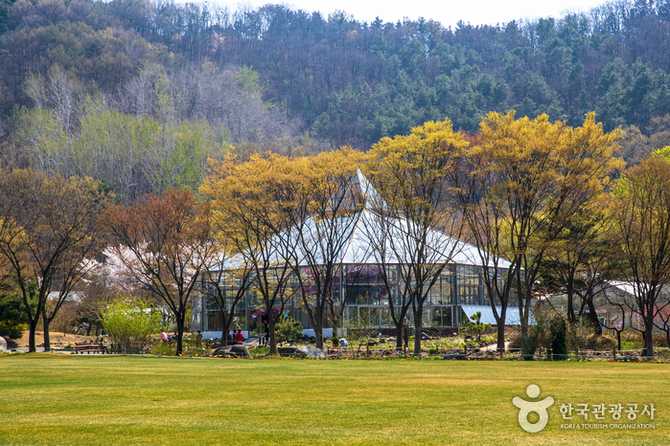 대구수목원 자연생태공원 정보와 방문 가이드 7