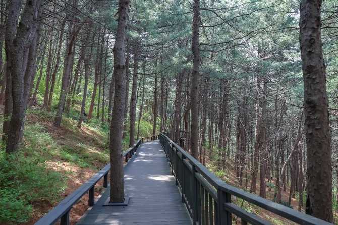 서울둘레길 12코스 호암산길 가이드: 자연과 역사를 함께 걷는 길 7